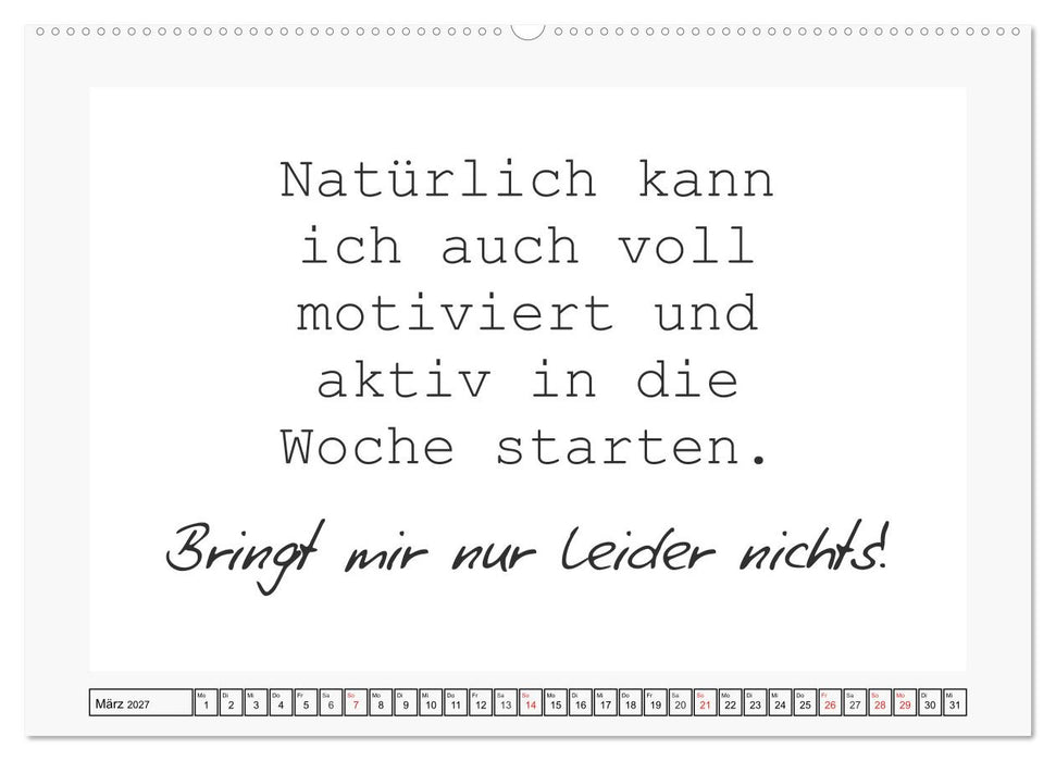 Typo-Kalender für das Büro. Sarkasmus und fiese Sprüche (CALVENDO Premium Wandkalender 2027)