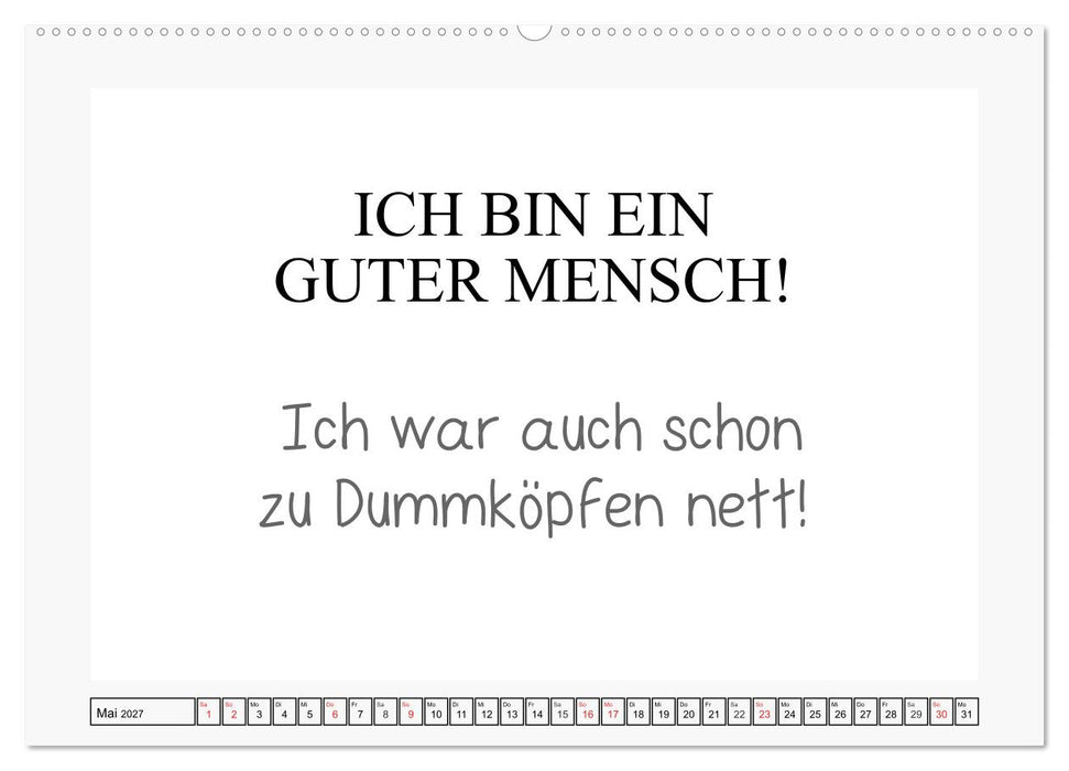 Typo-Kalender für das Büro. Sarkasmus und fiese Sprüche (CALVENDO Premium Wandkalender 2027)