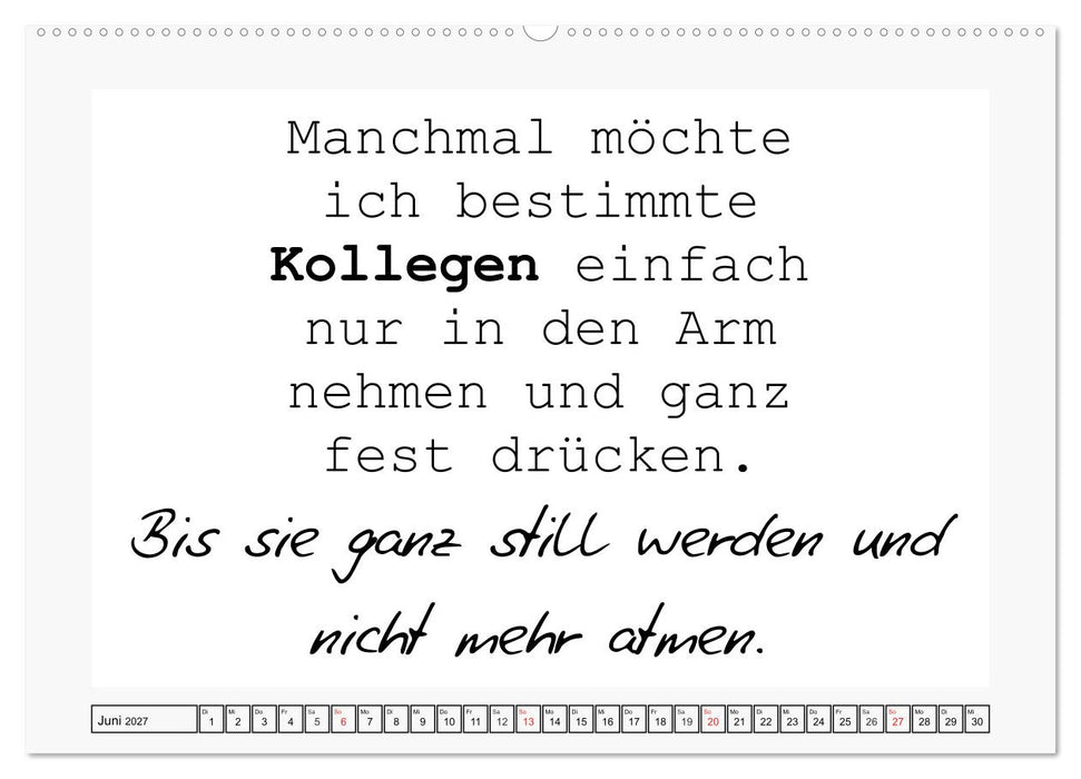 Typo-Kalender für das Büro. Sarkasmus und fiese Sprüche (CALVENDO Premium Wandkalender 2027)