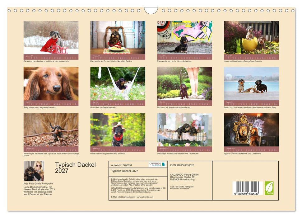 Typisch Dackel 2027 (CALVENDO Wandkalender 2027)