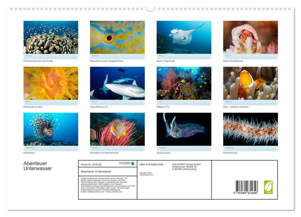 Abenteuer Unterwasser (CALVENDO Premium Wandkalender 2027)
