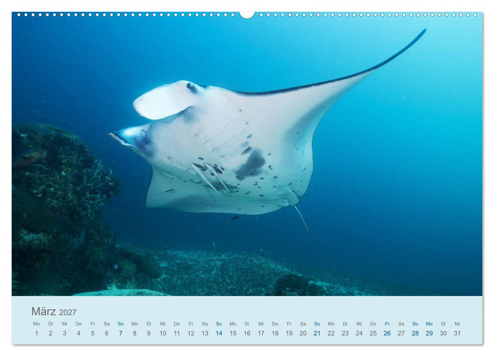 Abenteuer Unterwasser (CALVENDO Premium Wandkalender 2027)
