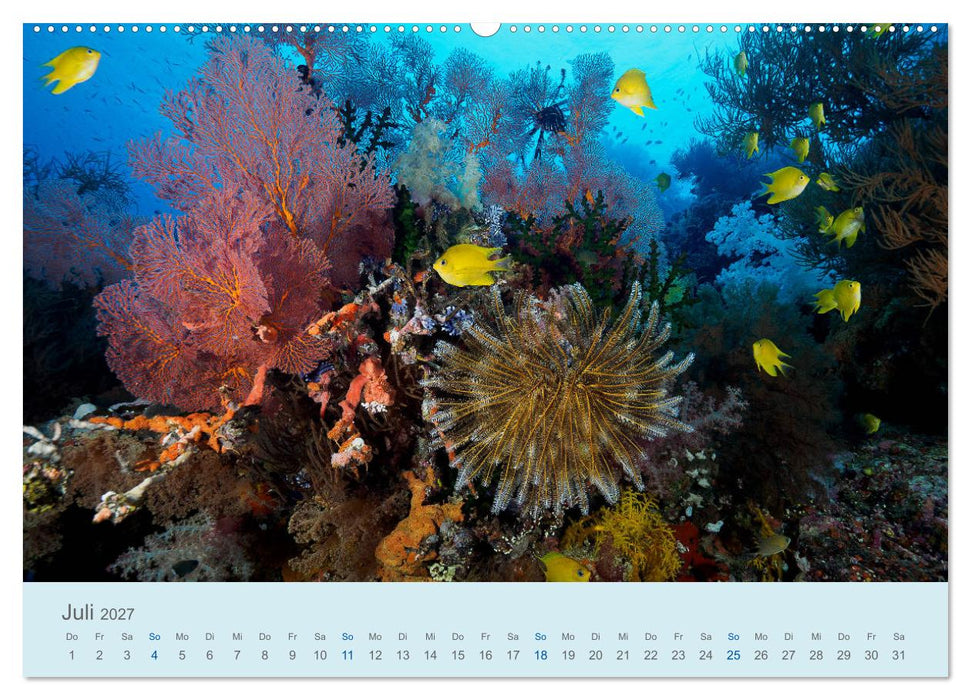 Abenteuer Unterwasser (CALVENDO Premium Wandkalender 2027)