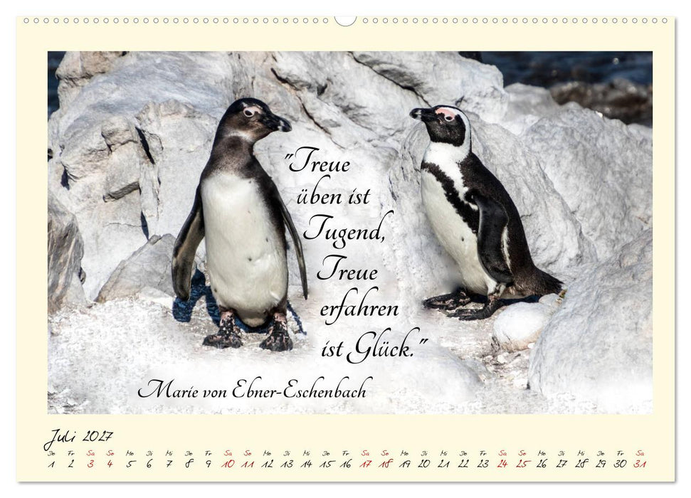 Glücksmomente Glücks-Zitate zu Fotos der großartigen südafrikanischen Tierwelt (CALVENDO Premium Wandkalender 2027)