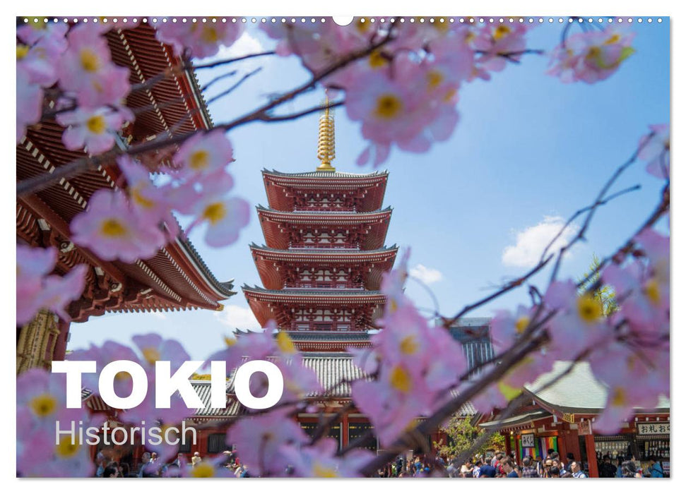Tokio Kalender mit historischen Tempeln und Schreinen (CALVENDO Wandkalender 2027)