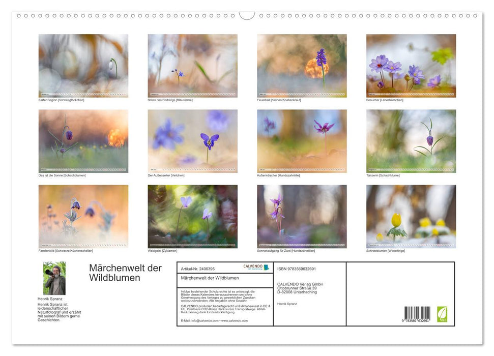Märchenwelt der Wildblumen (CALVENDO Wandkalender 2027)