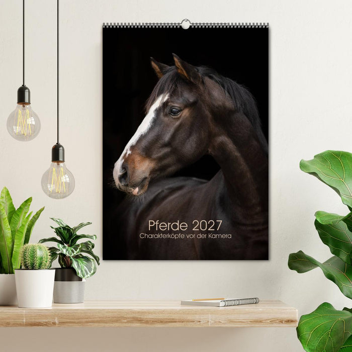 Pferde 2027 - Charakterköpfe vor der Kamera (CALVENDO Wandkalender 2027)