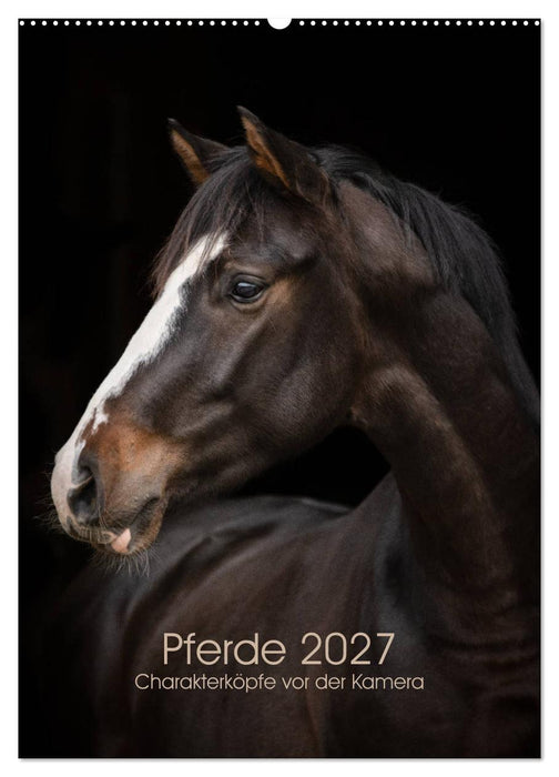 Pferde 2027 - Charakterköpfe vor der Kamera (CALVENDO Wandkalender 2027)