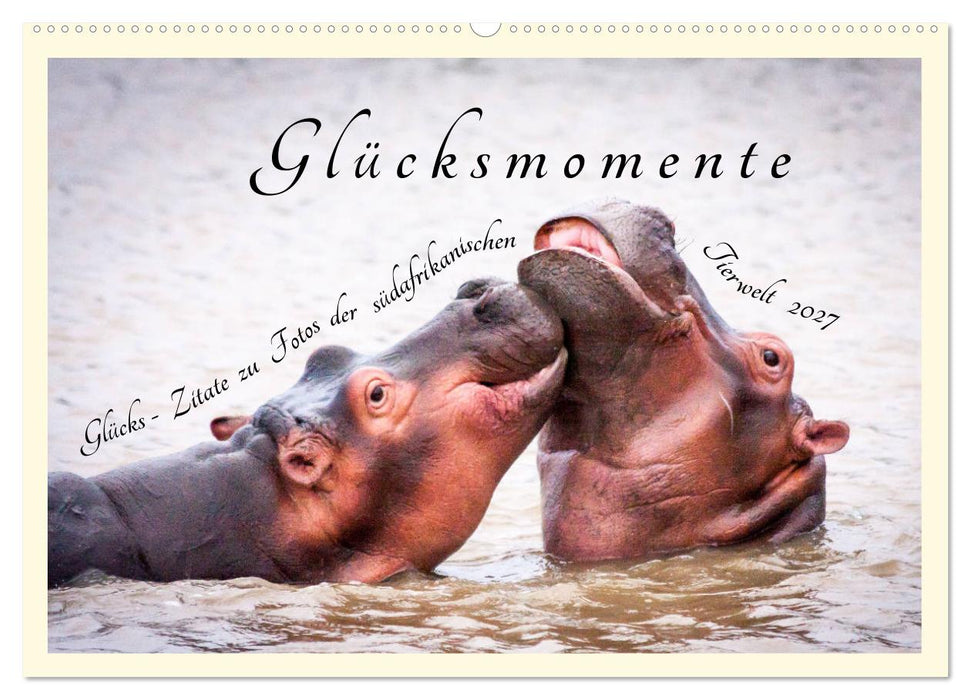Glücksmomente Glücks-Zitate zu Fotos der großartigen südafrikanischen Tierwelt (CALVENDO Wandkalender 2027)