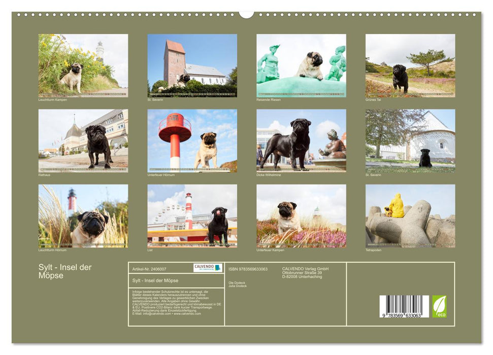 Sylt - Insel der Möpse (CALVENDO Premium Wandkalender 2027)