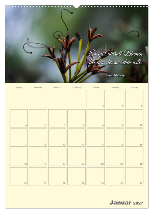 Gartenliebe (CALVENDO Wandkalender 2027)
