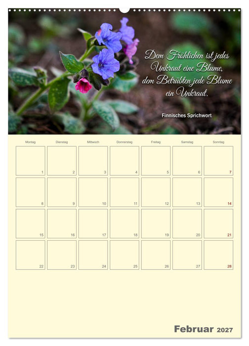 Gartenliebe (CALVENDO Wandkalender 2027)