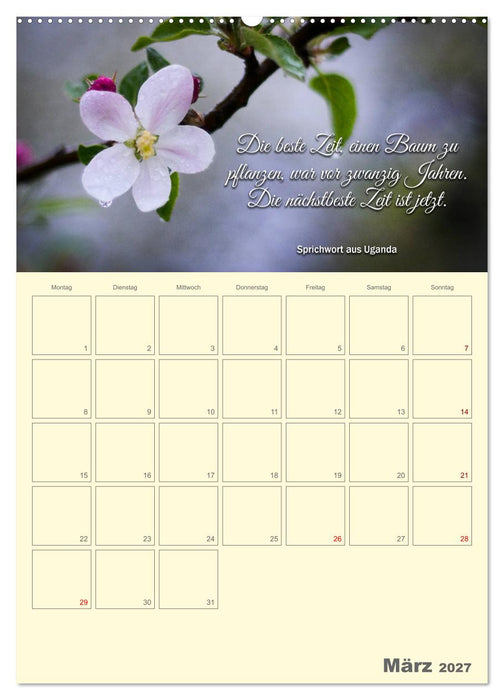 Gartenliebe (CALVENDO Wandkalender 2027)