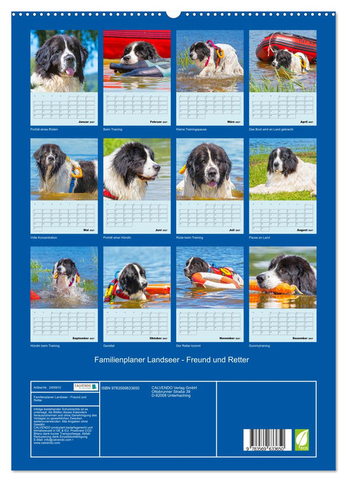 Familienplaner Landseer - Freund und Retter (CALVENDO Premium Wandkalender 2027)