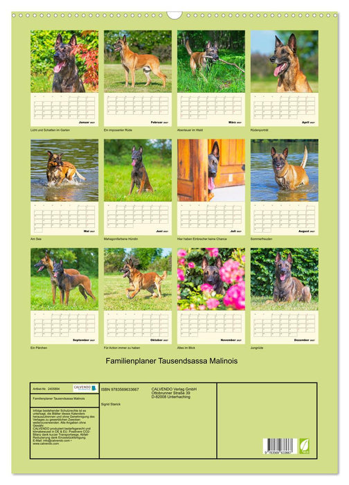 Familienplaner Tausendsassa Malinois (CALVENDO Wandkalender 2027)