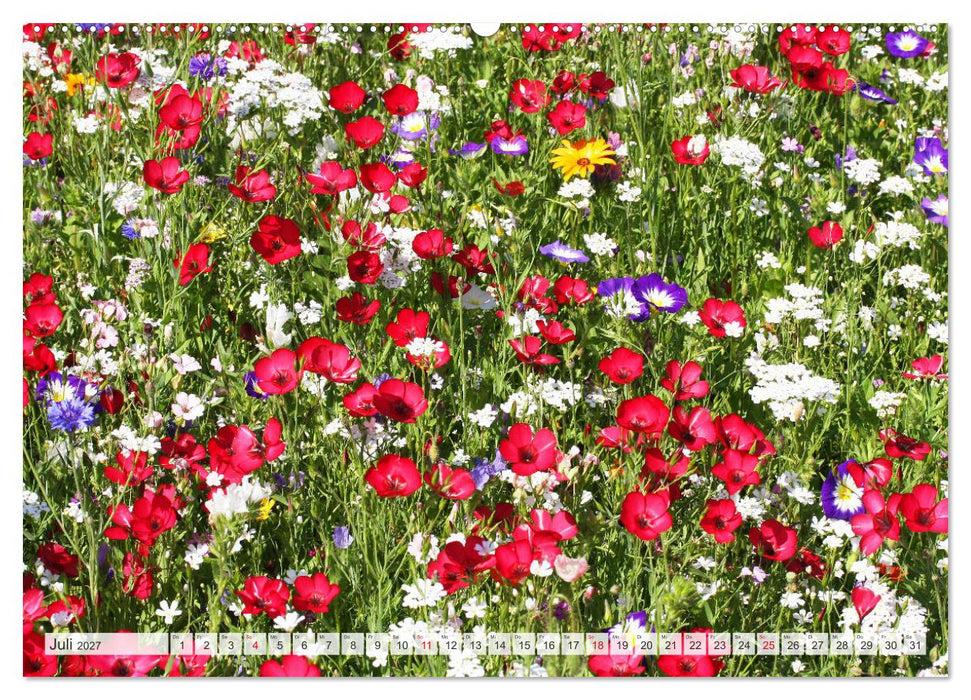 Roter Glanz Blütenpracht (CALVENDO Premium Wandkalender 2027)