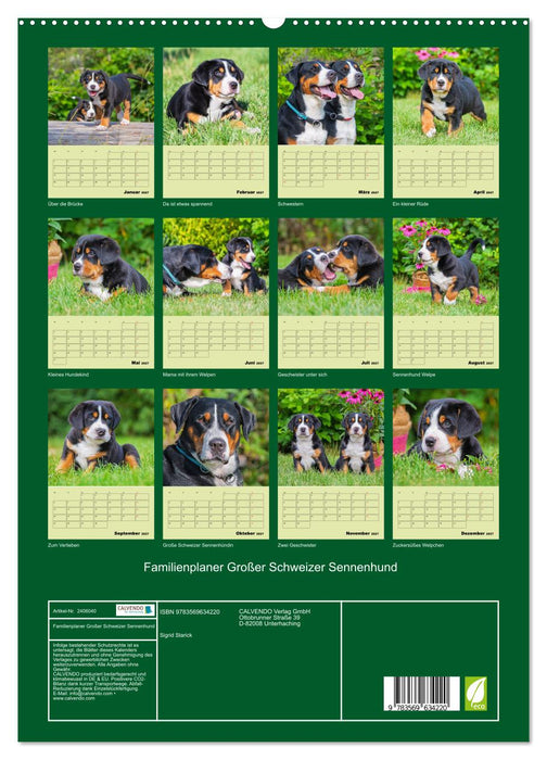 Familienplaner Großer Schweizer Sennenhund (CALVENDO Premium Wandkalender 2027)