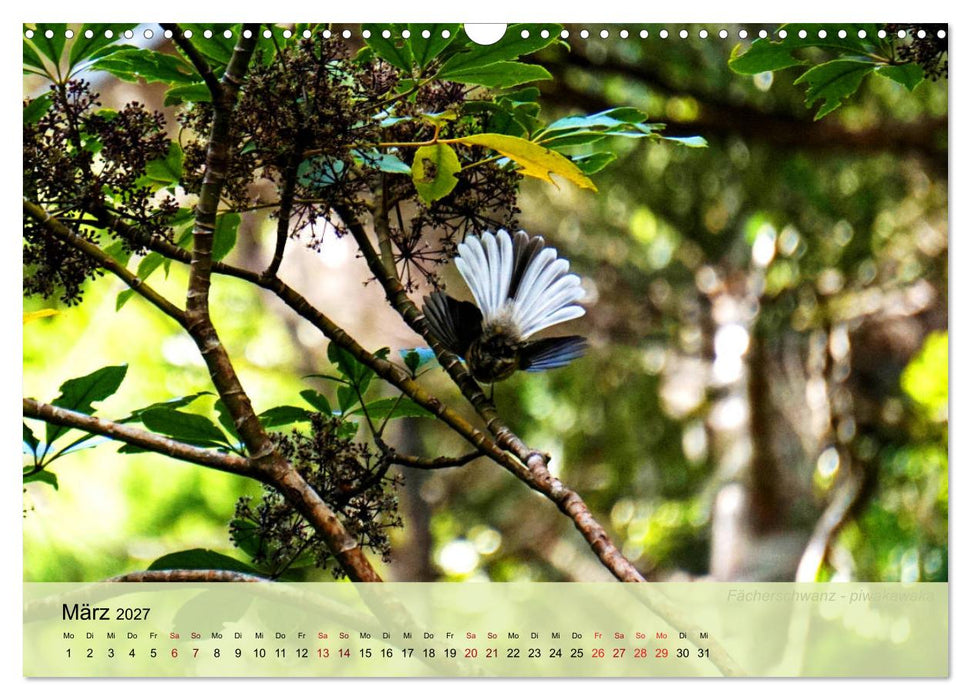 Neuseelands Vogelwelt (CALVENDO Wandkalender 2027)