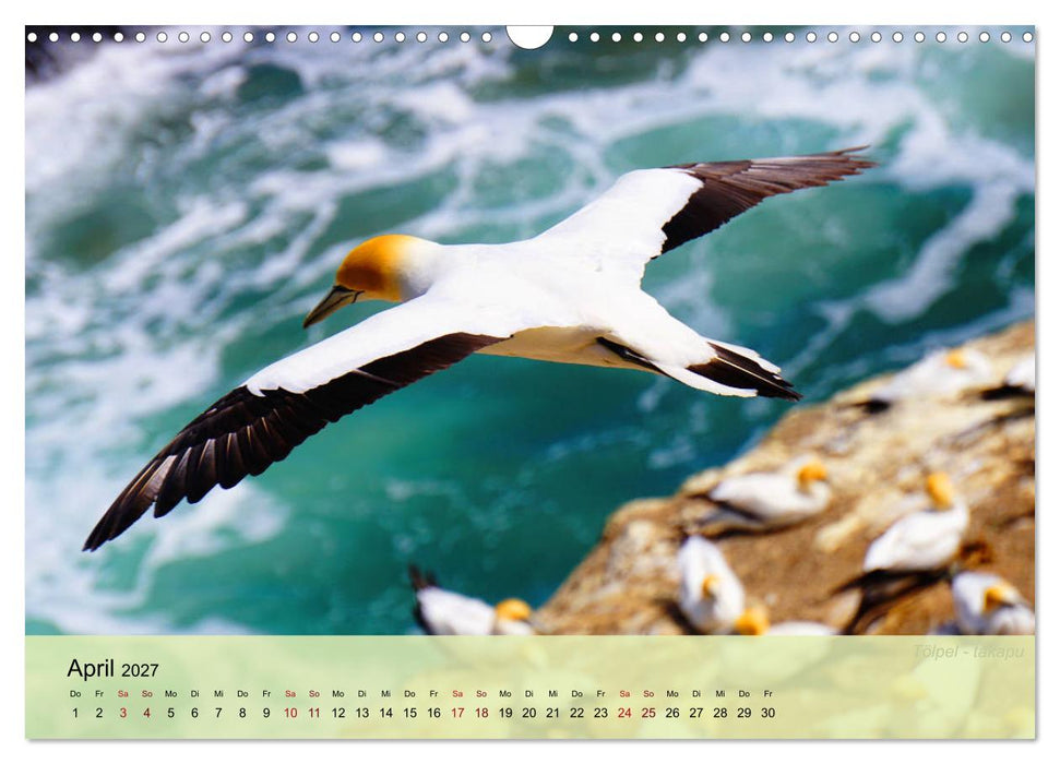 Neuseelands Vogelwelt (CALVENDO Wandkalender 2027)