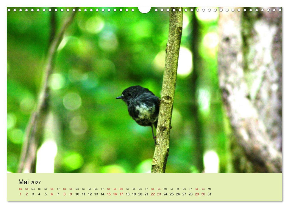 Neuseelands Vogelwelt (CALVENDO Wandkalender 2027)