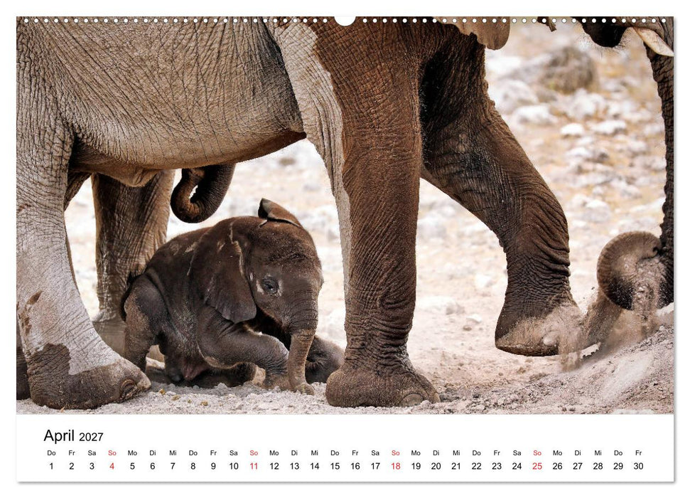 Namibias Elefanten (CALVENDO Premium Wandkalender 2027)