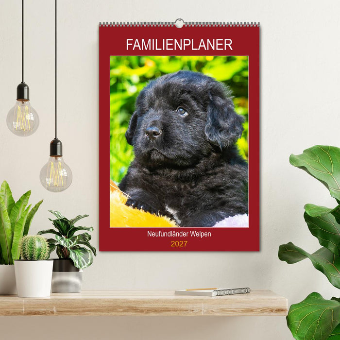 Familienplaner Neufundländer Welpen (CALVENDO Wandkalender 2027)