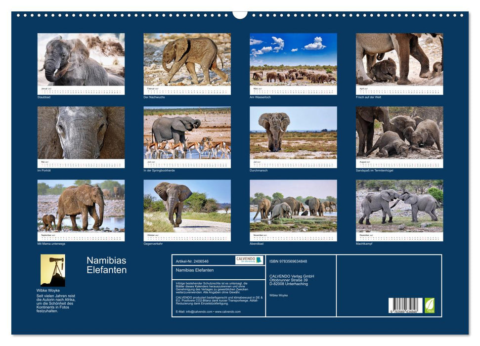 Namibias Elefanten (CALVENDO Wandkalender 2027)