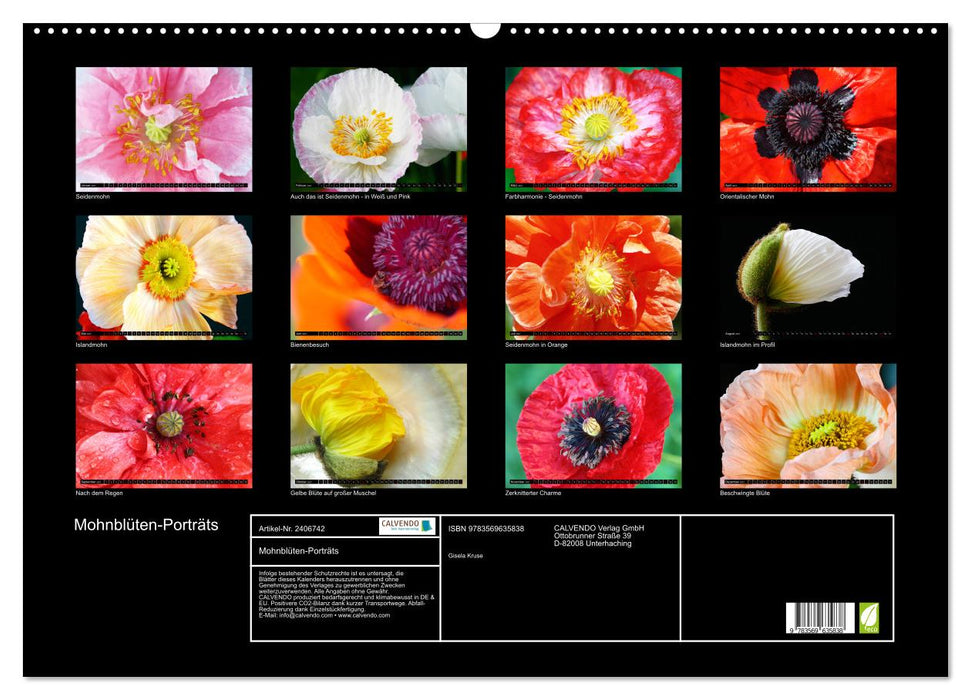 Mohnblüten-Porträts (CALVENDO Wandkalender 2027)