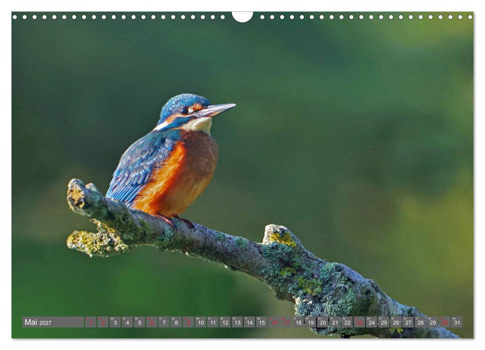 Zauberhafte Schwalm (CALVENDO Wandkalender 2027)