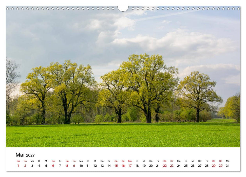 Unterwegs im Spreewald (CALVENDO Wandkalender 2027)