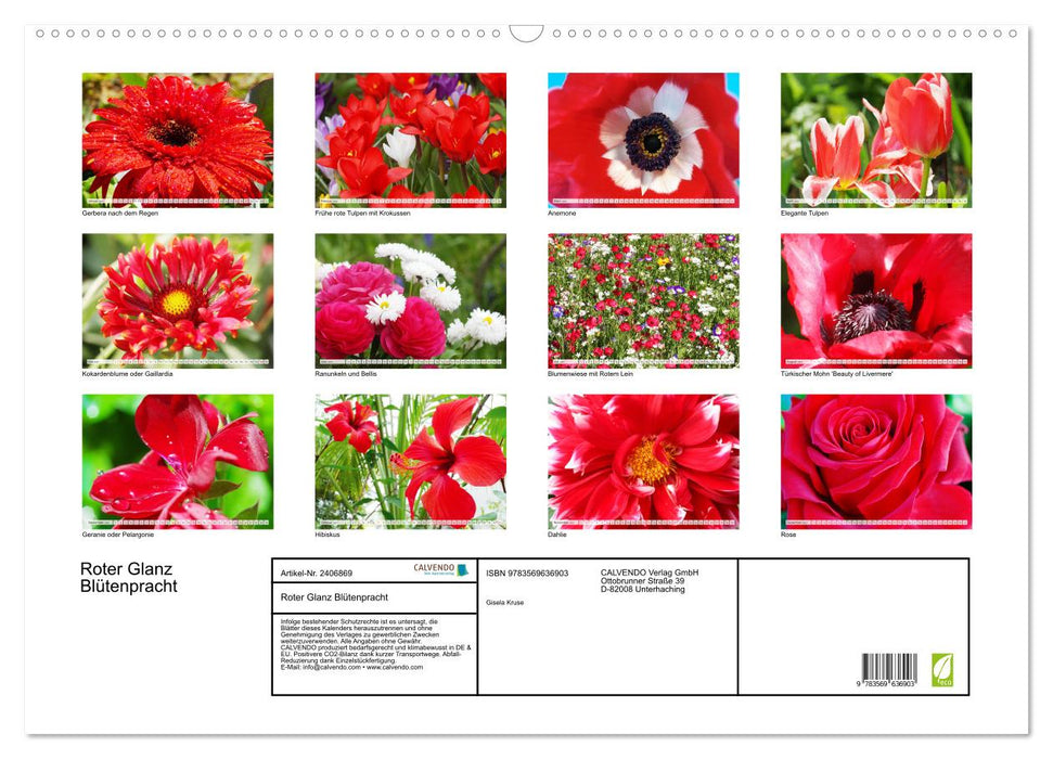 Roter Glanz Blütenpracht (CALVENDO Wandkalender 2027)