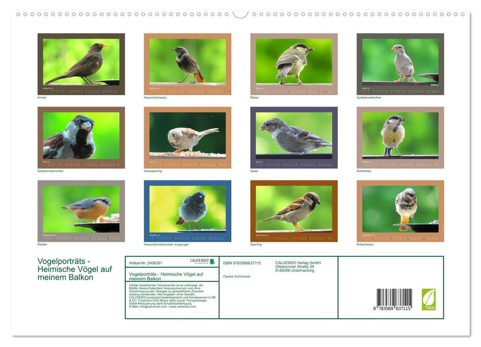 Vogelporträts - Heimische Vögel auf meinem Balkon (CALVENDO Premium Wandkalender 2027)