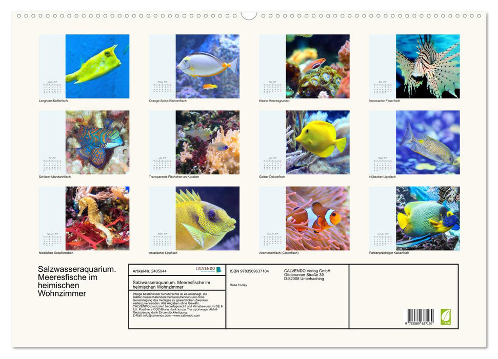 Salzwasseraquarium. Meeresfische im heimischen Wohnzimmer (CALVENDO Wandkalender 2027)