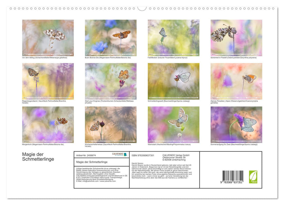 Magie der Schmetterlinge (CALVENDO Premium Wandkalender 2027)