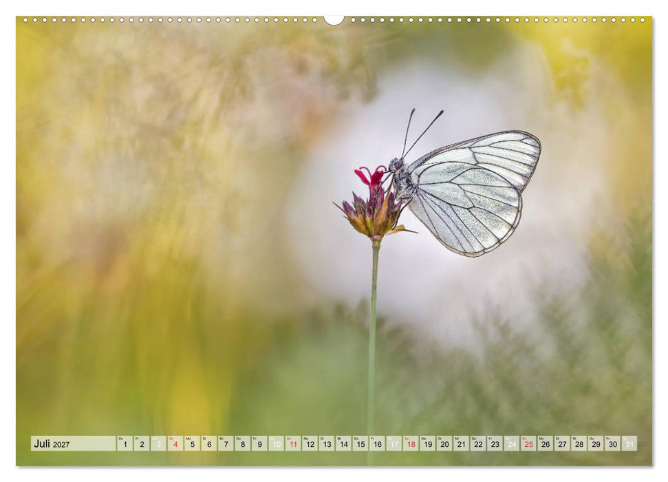 Magie der Schmetterlinge (CALVENDO Premium Wandkalender 2027)