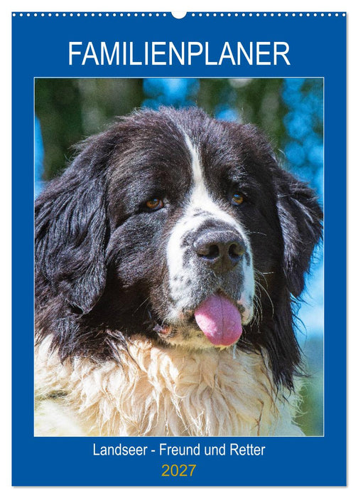 Familienplaner Landseer - Freund und Retter (CALVENDO Wandkalender 2027)