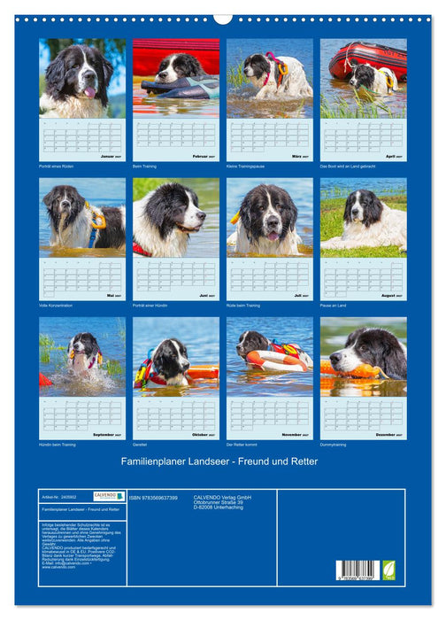 Familienplaner Landseer - Freund und Retter (CALVENDO Wandkalender 2027)