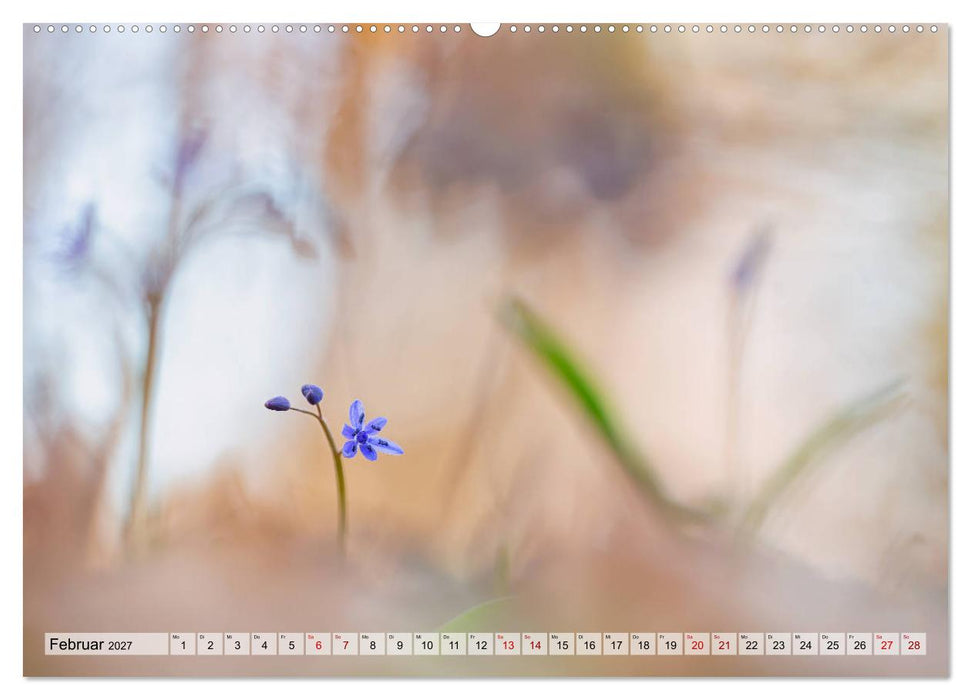 Märchenwelt der Wildblumen (CALVENDO Premium Wandkalender 2027)