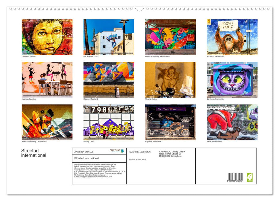 Streetart international (CALVENDO Wandkalender 2027)