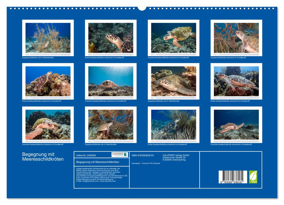 Begegnung mit Meeresschildkröten (CALVENDO Premium Wandkalender 2027)