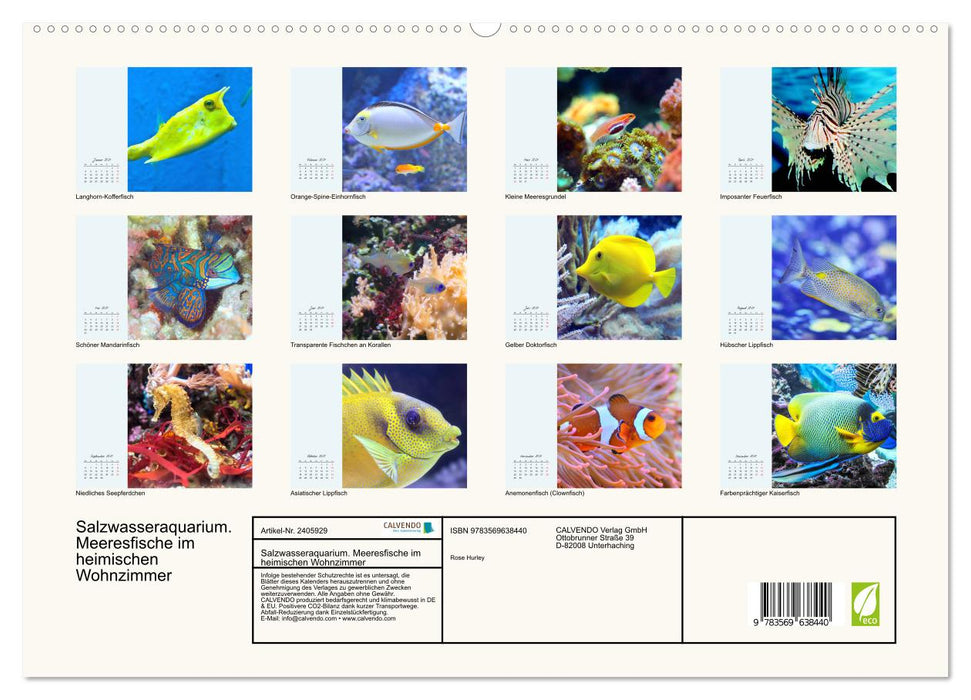 Salzwasseraquarium. Meeresfische im heimischen Wohnzimmer (CALVENDO Premium Wandkalender 2027)