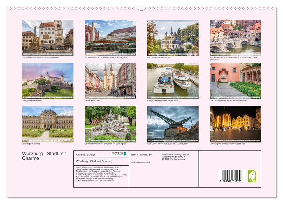 Würzburg - Stadt mit Charme (CALVENDO Premium Wandkalender 2027)