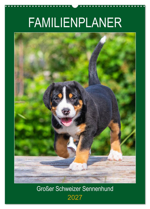 Familienplaner Großer Schweizer Sennenhund (CALVENDO Wandkalender 2027)