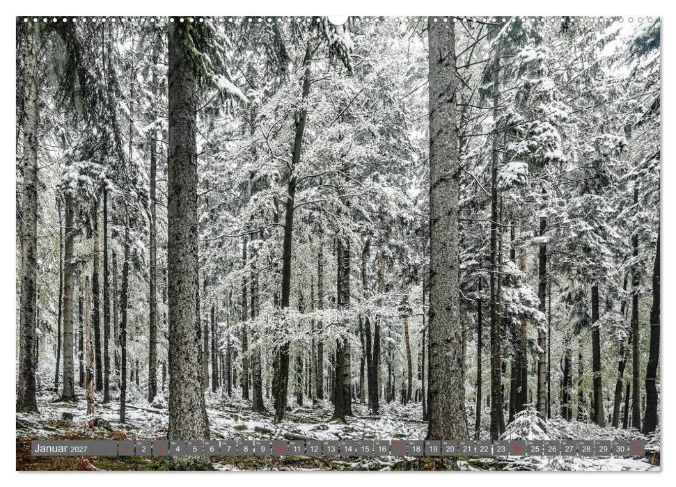 Schwarzwald-Wanderungen (CALVENDO Wandkalender 2027)
