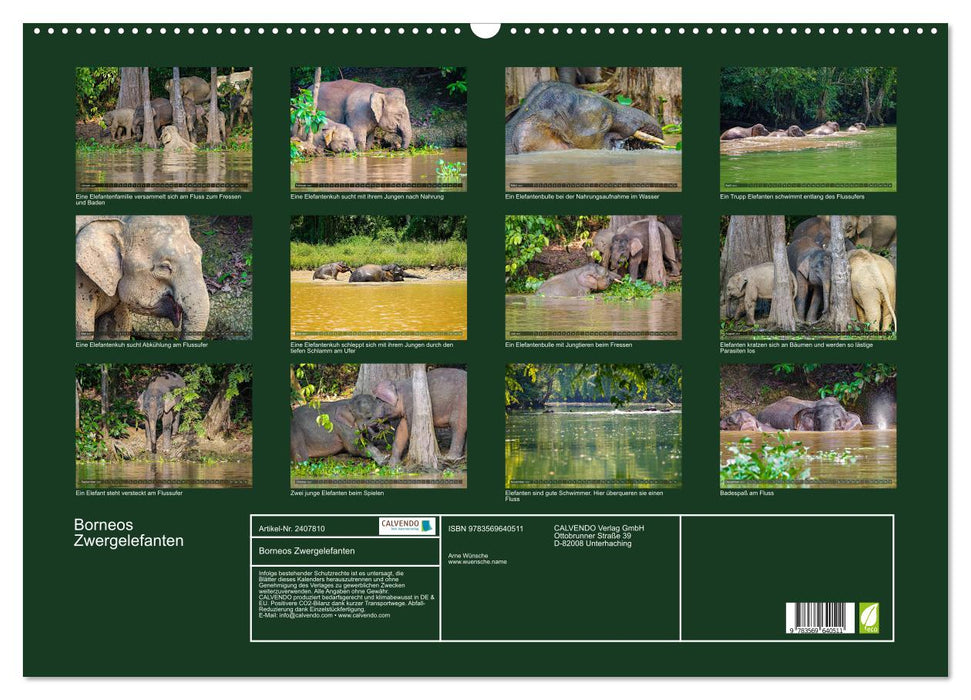 Borneos Zwergelefanten (CALVENDO Wandkalender 2027)