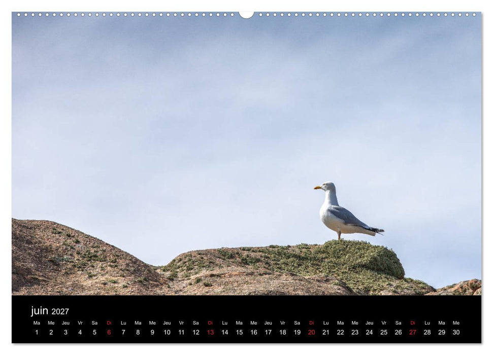 Normandie et Bretagne (CALVENDO Calendrier supérieur 2027)