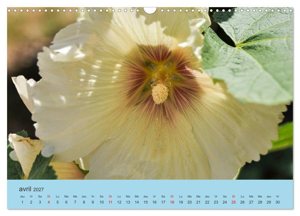La Charente Maritime, des paysages entre terre et mer (CALVENDO Calendrier mensuel 2027)