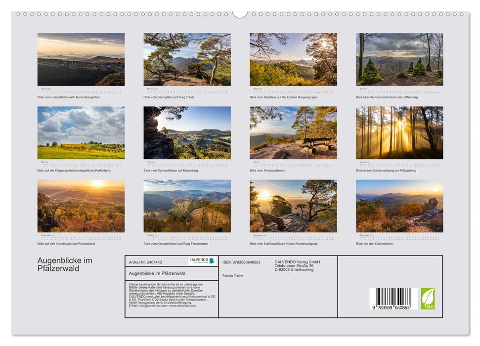 Augenblicke im Pfälzerwald (CALVENDO Premium Wandkalender 2027)