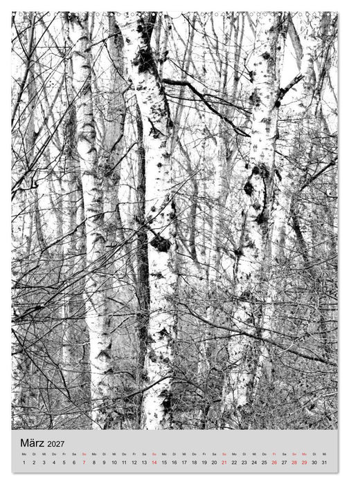 Natur monochrom Die besondere Wirkung (CALVENDO Premium Wandkalender 2027)
