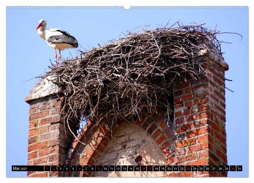 Im Paradies der Störche - Dorfkirchen als Storchkirchen in Ostpreußen (CALVENDO Wandkalender 2027)